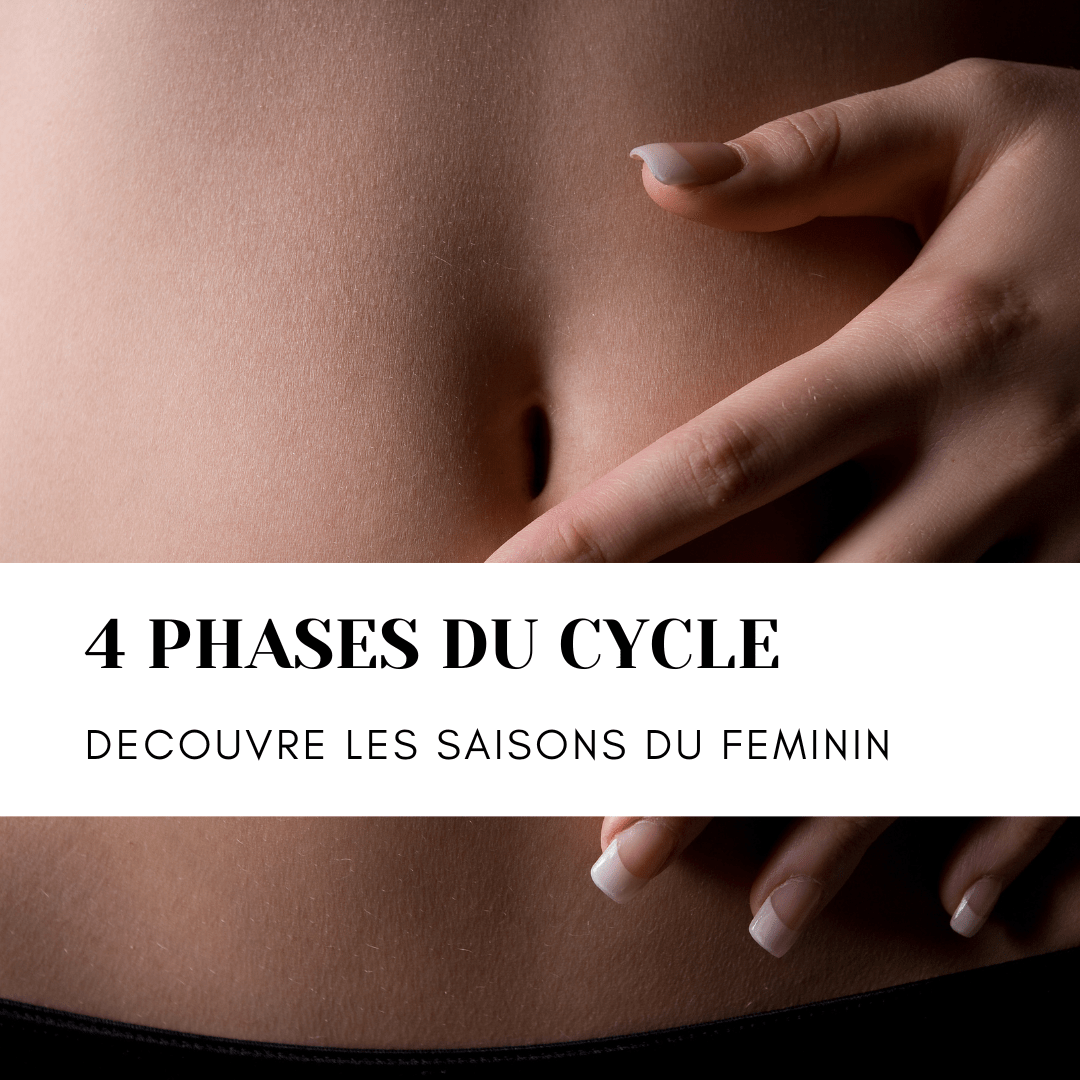 4 phases du cycle