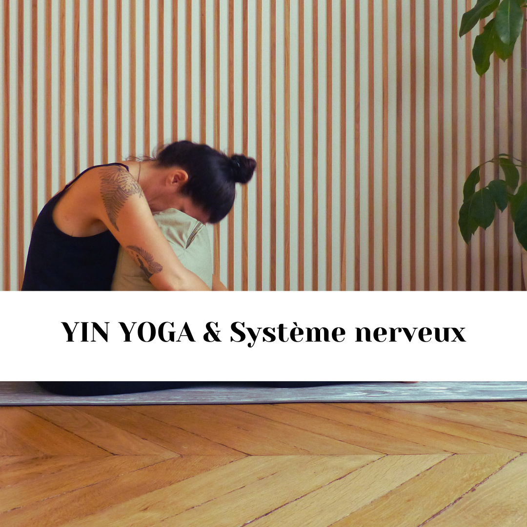 impact du yin yoga sur le système nerveux