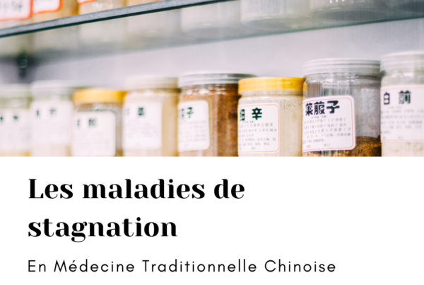 endométriose maladie de stagnation