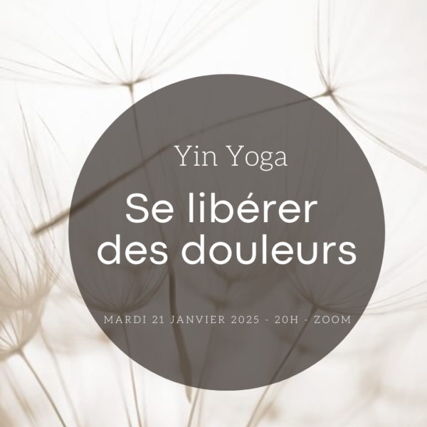 Cours yin yoga zoom